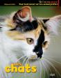 Les Chats - Preview