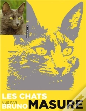 Les Chats Vus Par Bruno Masure