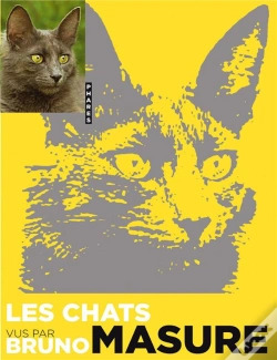Capa do artigo Les Chats Vus Par Bruno Masure