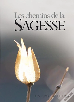 Capa do artigo Les Chemins De La Sagesse