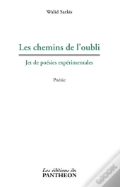 Les Chemins De L'Oubli ; Jet De Poésies Expérimentales