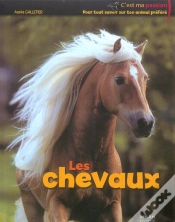 Capa do artigo Les Chevaux
