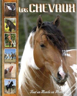 Capa do artigo Les Chevaux