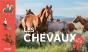 Les Chevaux De A À Z - Preview