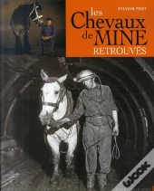 Les Chevaux De Mines Retrouvés