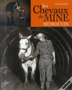 Capa do artigo Les Chevaux De Mines Retrouvés