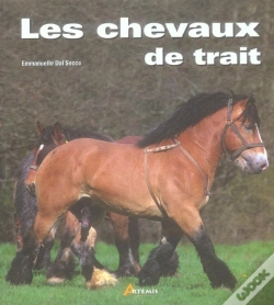 Capa do artigo Les Chevaux De Trait