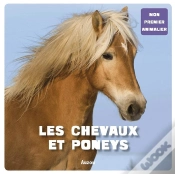 Capa do artigo Les Chevaux Et Les Poneys