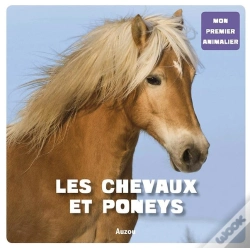 Capa do artigo Les Chevaux Et Les Poneys
