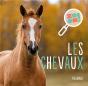 Les Chevaux - Preview
