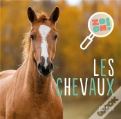 Capa do artigo Les Chevaux
