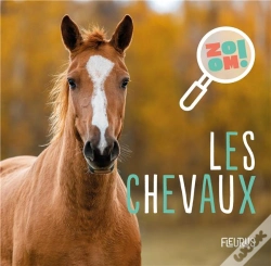 Capa do artigo Les Chevaux