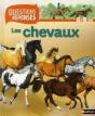 Les Chevaux - Preview