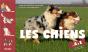 Les Chiens De A À Z - Preview