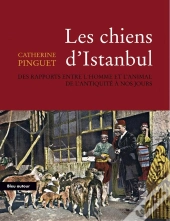 Les Chiens D'Istanbul