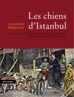 Capa do artigo Les Chiens D'Istanbul