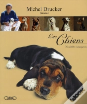 Capa do artigo Les Chiens ; Nos Fidèles Compagnons