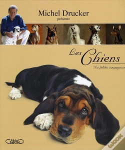 Capa do artigo Les Chiens ; Nos Fidèles Compagnons