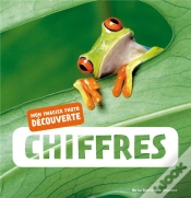 Capa do artigo Les Chiffres