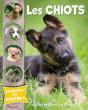 Les Chiots - Preview