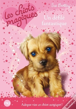 Capa do artigo Les Chiots Magiques N07