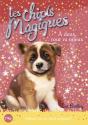 Les Chiots Magiques N10 A Deux  Tout Va Mieux - Preview
