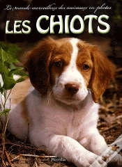 Capa do artigo Les Chiots