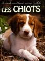 Les Chiots - Preview