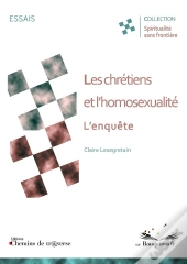 Les Chretiens Et L'Homosexualite, L'Enquete