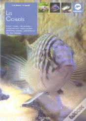 Capa do artigo Les Cichlides