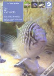 Les Cichlides