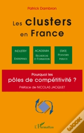 Les Clusters En France ; Pourquoi Les Pôles De Competitivité ?