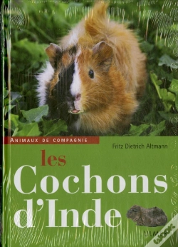 Capa do artigo Les Cochons D'Inde