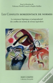 Les Conflits Horizontaux De Normes