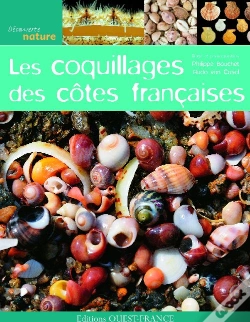 Capa do artigo Les Coquillages Des Côtes Françaises