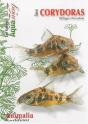 Les Corydoras - Preview