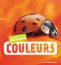 Les Couleurs - Preview