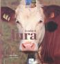 Les Couleurs Du Jura - Preview
