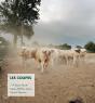Les Coupes ; Portrait D'Une Exploitation Agricole Familiale - Preview