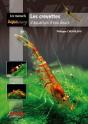 Les Crevettes D'Aquarium D'Eau Douce - Preview