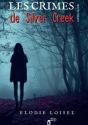 Les Crimes De Silver Creek - Les Yeux Du Vide - Preview
