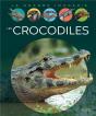 Les Crocodiles - Preview