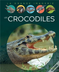 Capa do artigo Les Crocodiles
