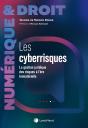 Les Cyberrisques : La Gestion Juridique Des Risques À L'Ère Immatérielle - Preview