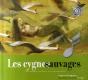 Les Cygnes Sauvages - Preview