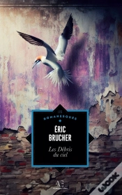 Capa do artigo Les Débris Du Ciel