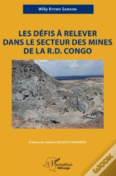 Les Défis À Relever Dans Le Secteur Des Mines De La R.D. Congo