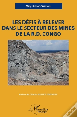 Capa do artigo Les Défis À Relever Dans Le Secteur Des Mines De La R.D. Congo