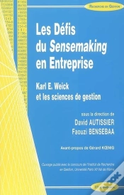 Capa do artigo Les Défis Du Sensemaking En Entreprise ; Karl E. Weick Et Les Sciences De Gestion