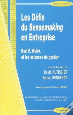 Capa do artigo Les Défis Du Sensemaking En Entreprise ; Karl E. Weick Et Les Sciences De Gestion